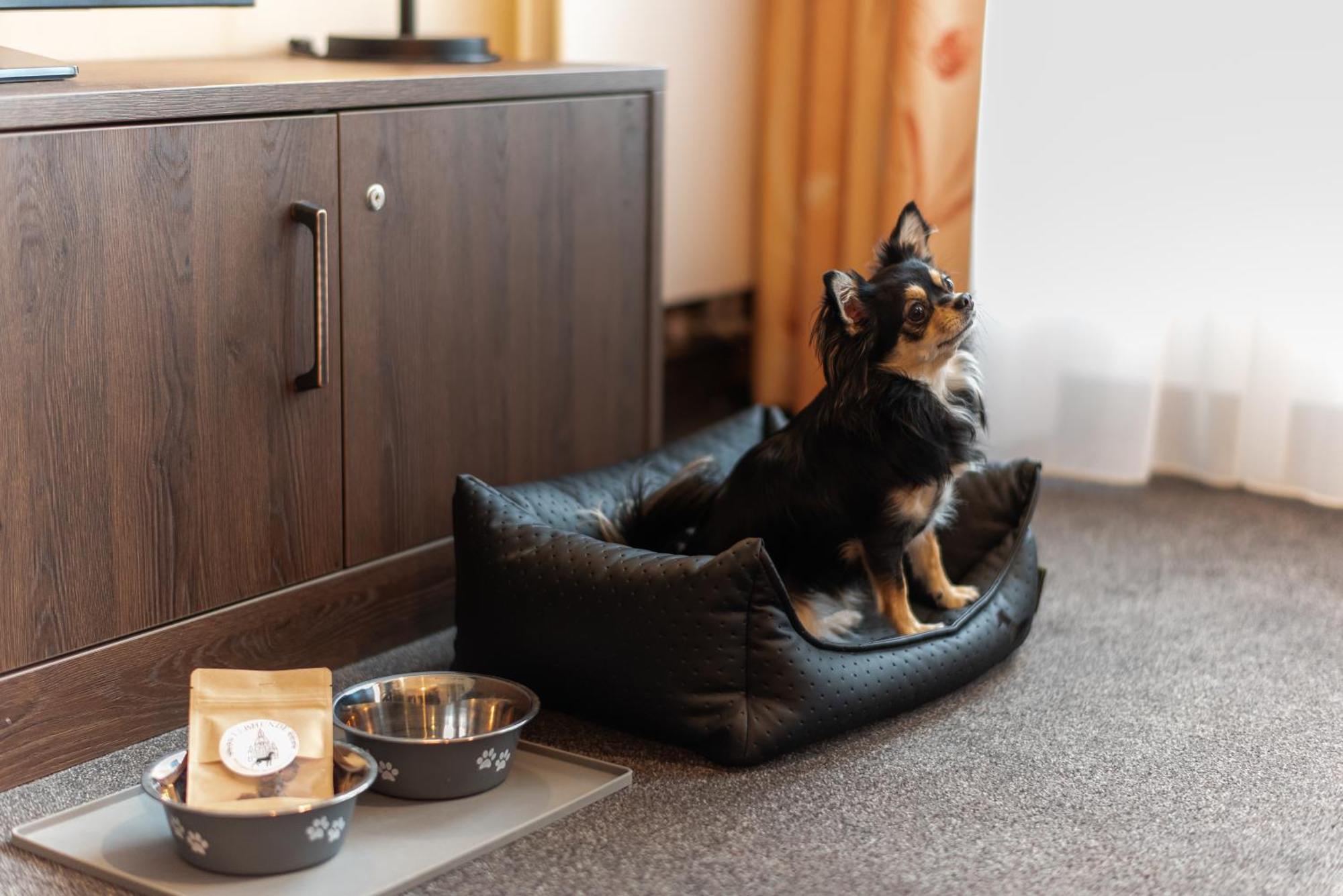 Familienapartment Mit Panoramablick Zur Frauenkirche Δρέσδη Εξωτερικό φωτογραφία